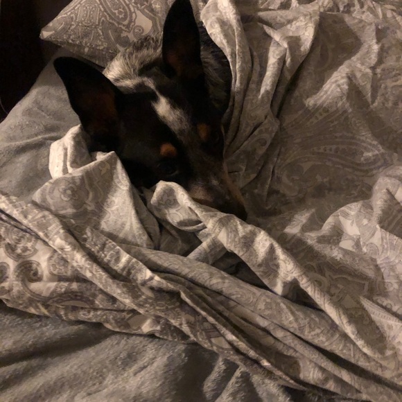 Meet your Posher, Brad - Picture 1 of 1